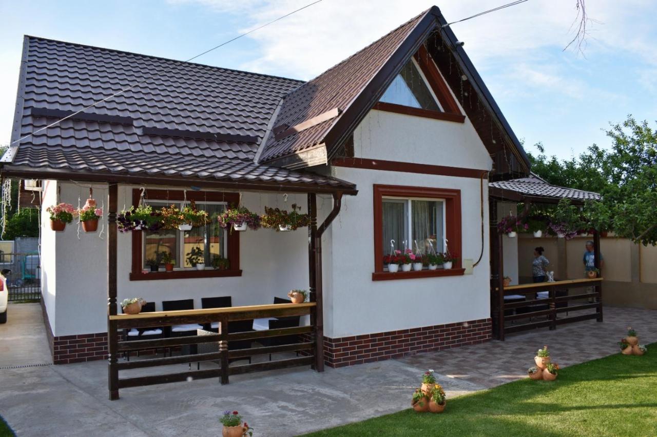 Casa De Vacanta Dalia Si Crina Babadag Esterno foto