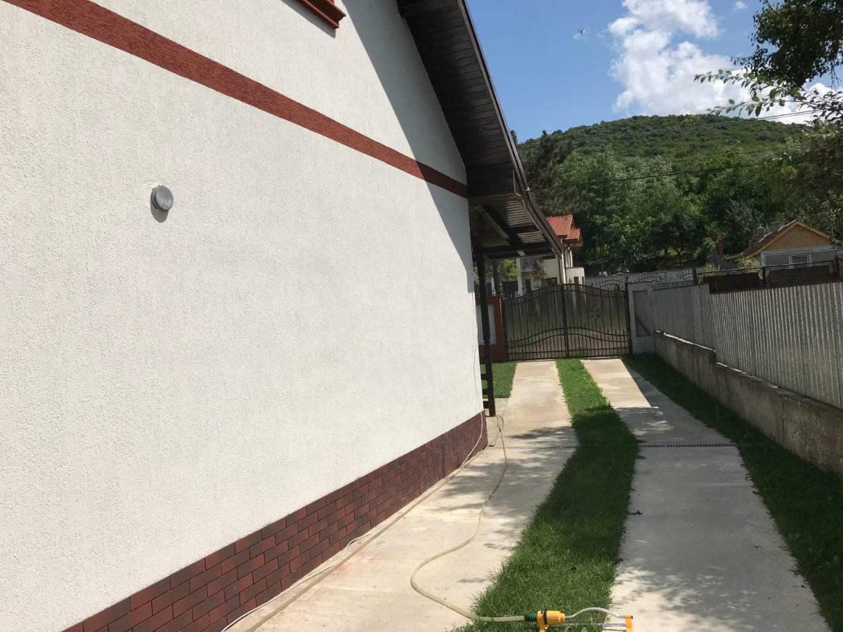 Casa De Vacanta Dalia Si Crina Babadag Esterno foto